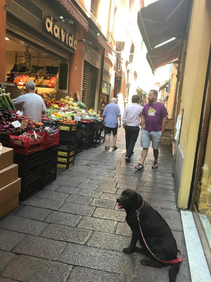 Bed and Breakfast Casa Salbego R&B Bologna Exterior foto